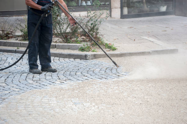 Best Soft Washing for Delicate Surfaces in Watertown, TN